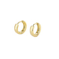 Rainbowking S925 Female European and American Style Gold Plated Sterling Silver Hoop Earrings Fine Jewelry for Party or Gift