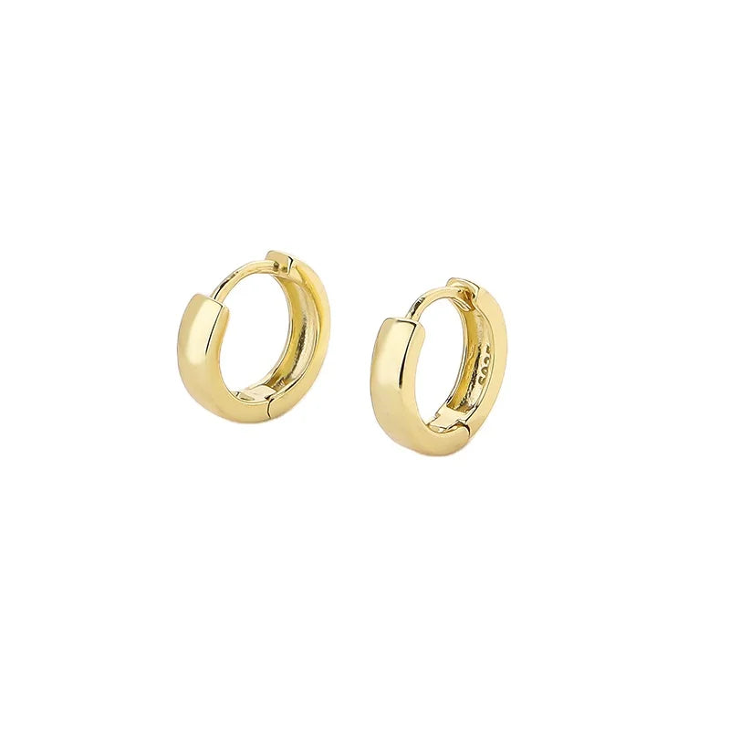 Rainbowking S925 Female European and American Style Gold Plated Sterling Silver Hoop Earrings Fine Jewelry for Party or Gift