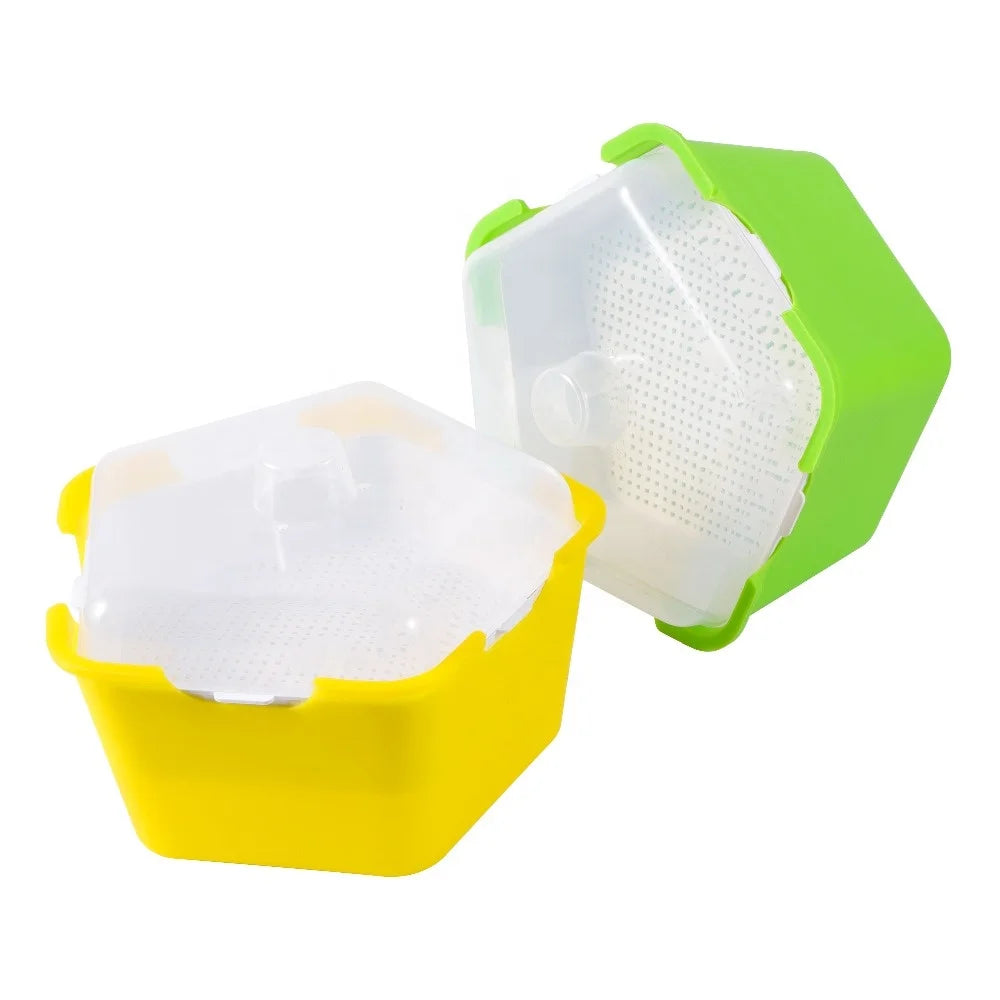 Pentagonal Plastic Sprouting Tray Bean Pea Hydroponic Seedling Tray Nursery Growing Germination Kit