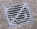 Hot Sale 110 mm Stainless Steel Floor Drain Shower Drain with Removable Cover
