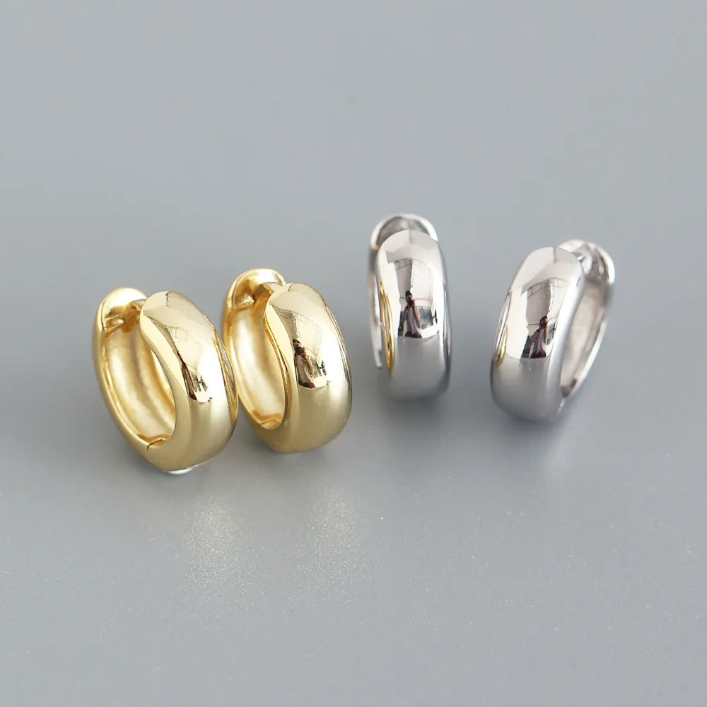 High Quality Classic New Design INS 925 Sterling Silver Jewelry Hoop Earrings Girl Women YHE0278