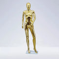 Professional Abstract Fiberglass Shiny Color Gold Display Women Chrome Plating Electroplating Mannequin Female