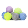 Lynpet Eco-Friendly Customized Logo Tennis Balls Simple Style Rubber Throwing Pet Chew Toys for Dogs