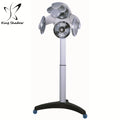 New Design Dolphin Iron Modern Full Automatic Salon Stand Hair Dryer Hood Dryer Model 1963 Kingshadow 110V-240V