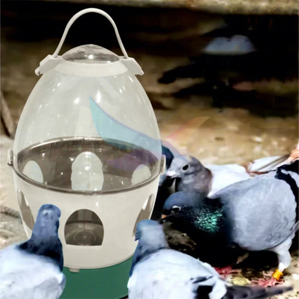 China Manufacture 6L Automatic Transparent Pigeon Drinker for Birds Pigeon Chicken