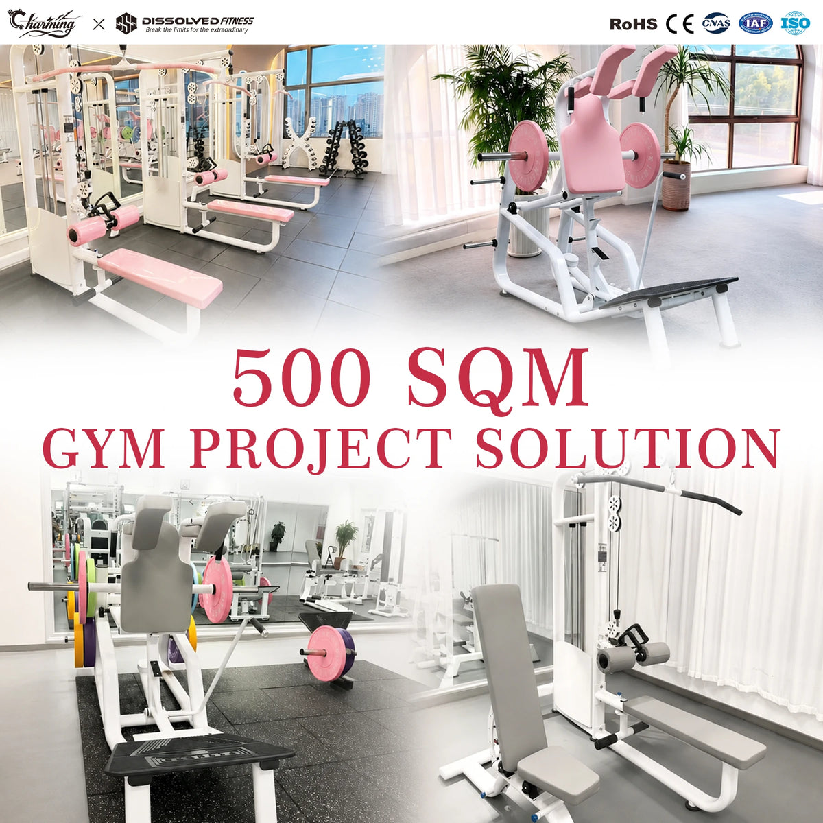 Gym Project Solution Professional Complete pink Gym Equipment Machines Wholesale by Plate Loaded Gym Equipment Legs for Woman MegaBDM