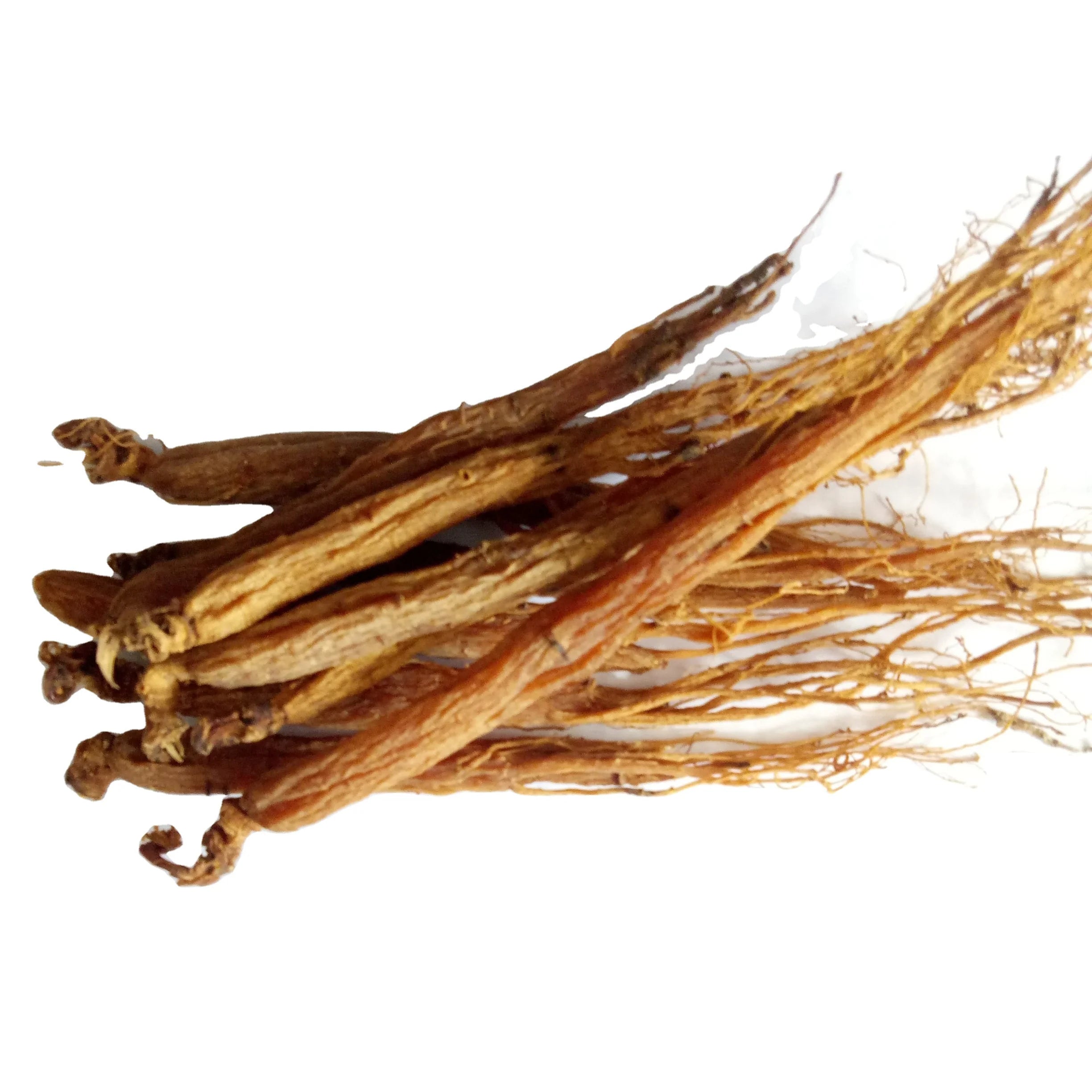 High Quality Natural Dried New Harvested Red Gingseng for Tea Whole Ginseng Roots with tails