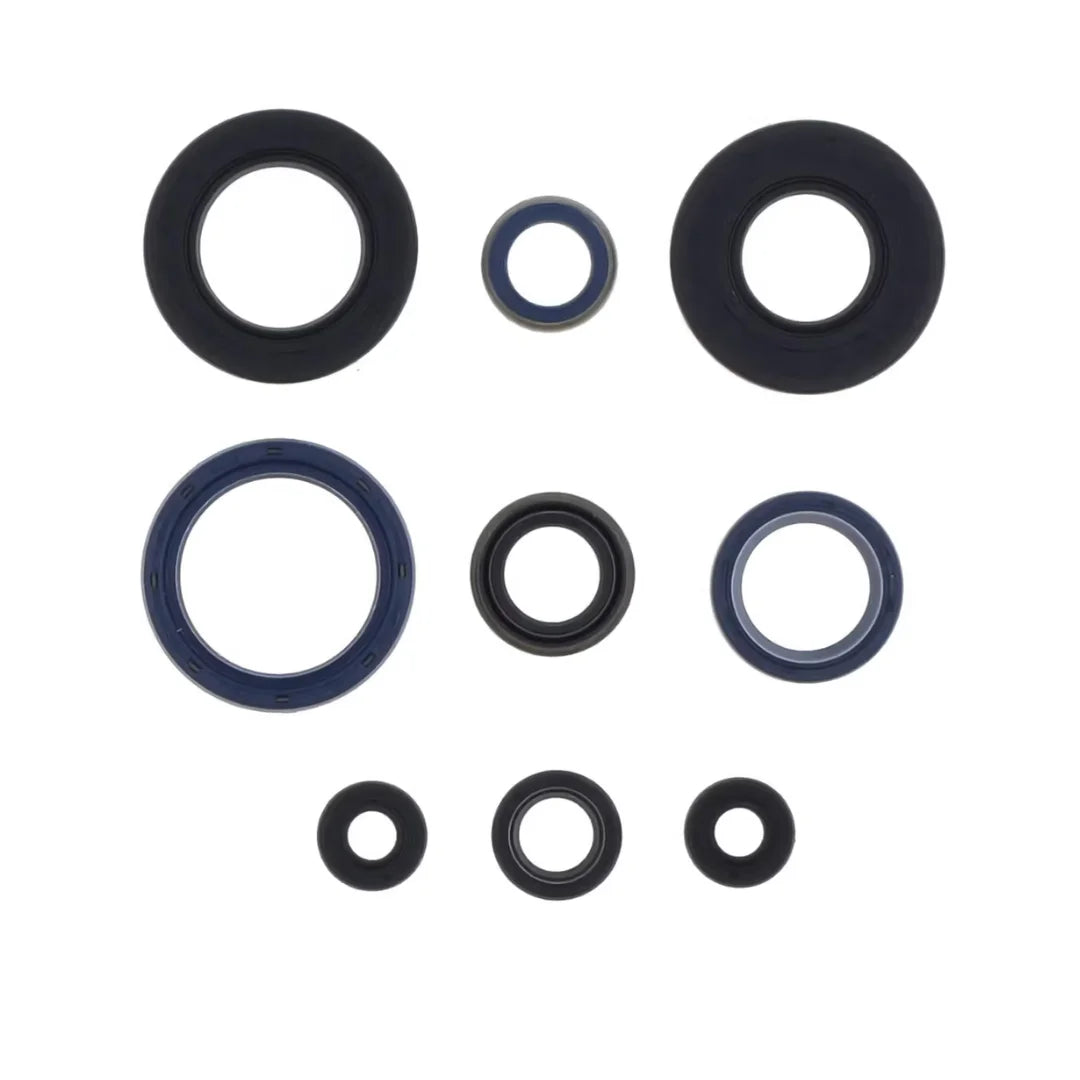 Centauro Engine Oil Seal Kit for Husqvarna WR 250 99-13 Featuring TCV Piston Packing Shaft TC Seals for Automotive Use Car