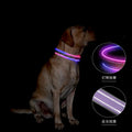 USB Rechargeable Type-C Pet Collars Nylon Soft Comfortable Sfety Led Lights Flashing Dog Collar