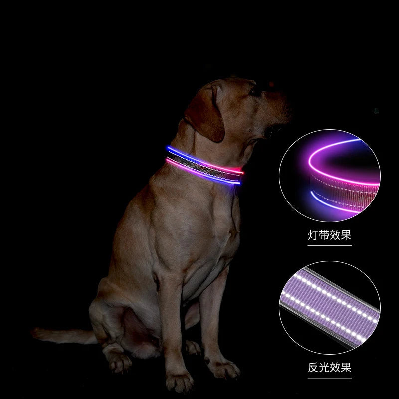 USB Rechargeable Type-C Pet Collars Nylon Soft Comfortable Sfety Led Lights Flashing Dog Collar
