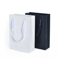 Manufacturers Make Exquisite Gift Packaging Paper Bags Ribbon Tote Paper Bag