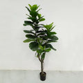 Artificial Plant Ficus Fig Tree Plant 6ft Black Plastic Pot Lifelike Evergreen Tree Perfect Match for Home Office Floor Decor