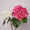 Y-H169 Wholesale High Quality Big Hydrangea White Silk Hydrangea Real Touch Hydrangea for Valentine's Day Wedding Event Decor