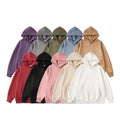 Custom Plus Size Casual Outer Sweatshirts with Suede Hood Zipper Design Solid Color Simple Light Plate Winter Loose Fit Hoodies