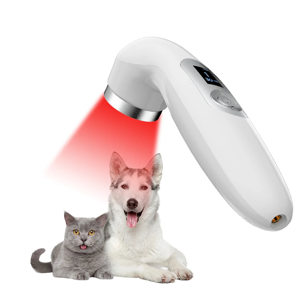 Factory Veterinary Horse and Dog Pain Relief Device Laser Physical Therapy Machine for Pets Wound Healing