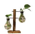 Hydroponic Plant Glass Vase Flower Arrangement Desktop Bulb Vase Decoration with Wood Stand