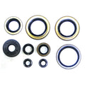 NRTeam Yamaha YZ 250 02-25 Engine Oil Seal Kit Durable NBR PU Rubber Plastic Stylish Packing