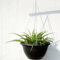 Decorative Handcrafted Copper Painted Hanging Planter Basket for Indoor/Outdoor Use