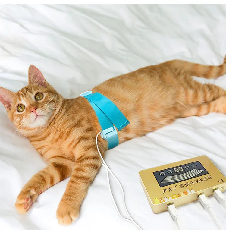 New PET Scanner Quantum Animal Tester for DOG and CAT Bioscan Pets Biochemical Analysis with English Software