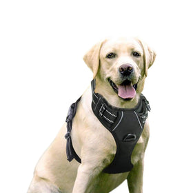 Wholesale Customizable Nylon Dog Harness Leash Set Medium Large Dogs Adjustable Reflective Oxford Easy Control Personalized
