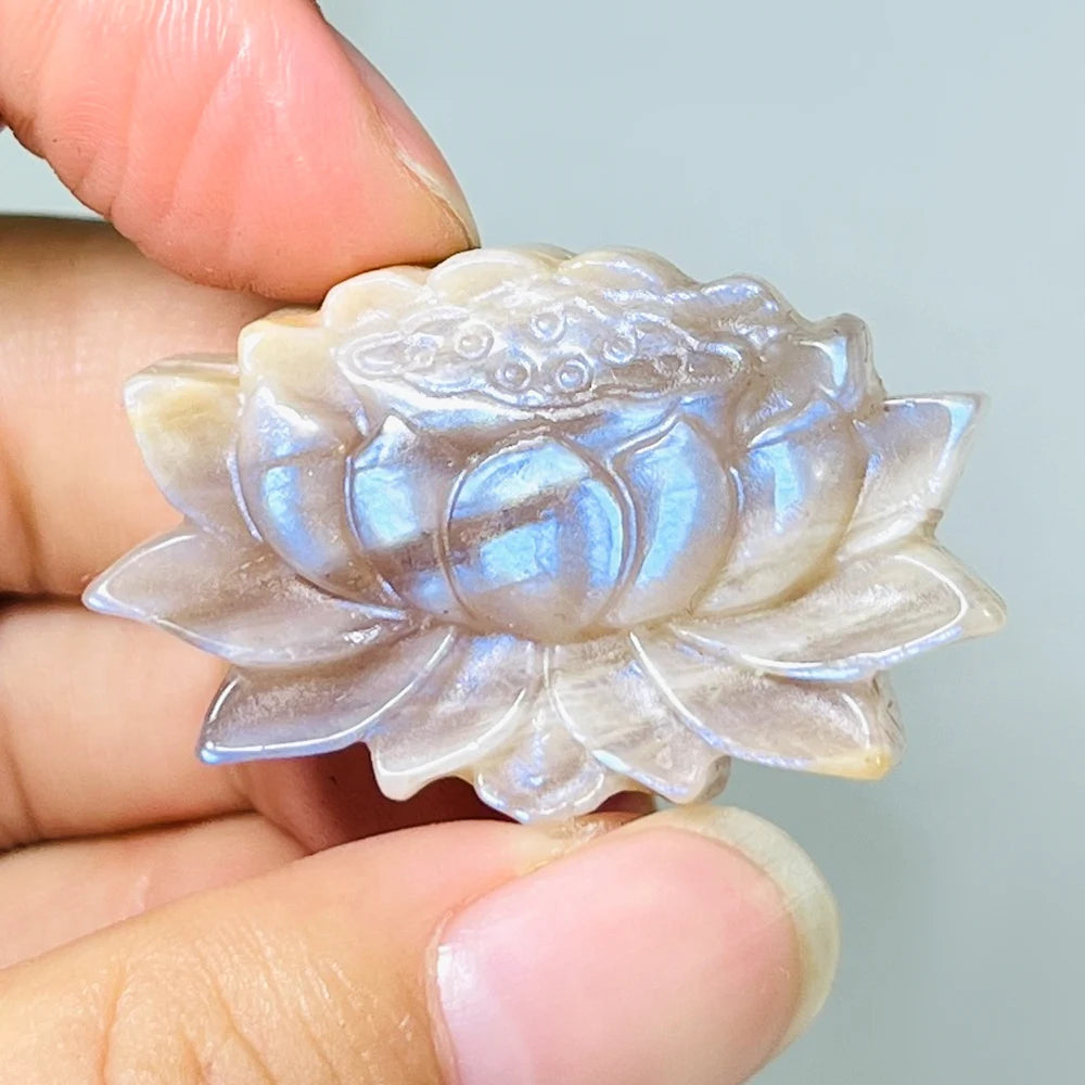 Factory Wholesale Moonstone Lotus Crystal Cravings Craved Blue Flash Flower Healing Energy Stone for Gift