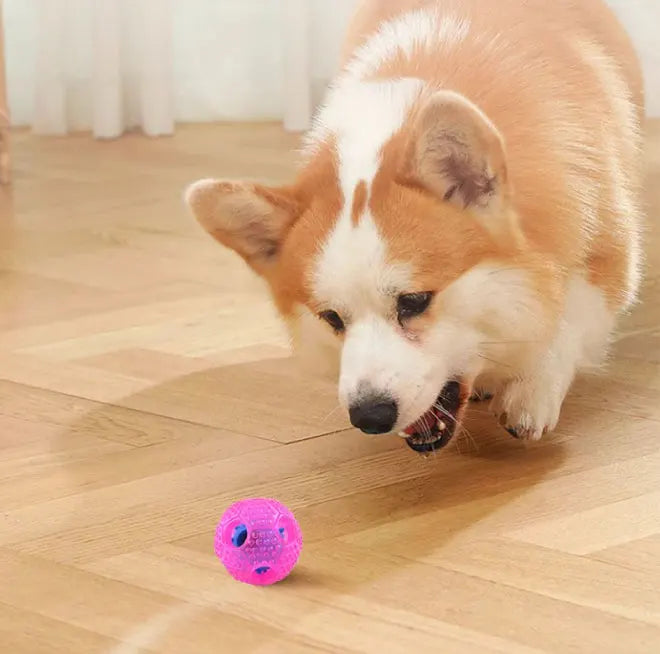 Dog Ball Novelty TPR Cute Daily Puzzle Leaky Food Elastic Luminous Safety Silence Tough Bite Rolling Dog Chew Toy