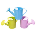 Garden Water Cans Galvanized Metal Watering Can with Anti-rust Powder Coating for Indoor and Outdoor Kids Planting/
