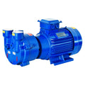 High-Vacuum 11KW Liquid Ring Pump Water Ring Pump 400m3/h Air Compressor Pump Head for Pumps Genre MegaBDM