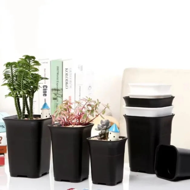 Durable Eco-Friendly Modern Small Square PP Plastic Flower Pots Black Nursery Trays Floor Use Succulent Seedlings Transplanting