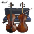 Hot Sellling Matt Professional Carved Spruce Violin with Case Bow Flame Maple String Musical Instrument HV900