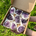 Wholesale Amethyst Clusters Box Set Natural Raw Quartz Decoration Gift Crystal Cluster Box Mineral Specimen 2-3 Inch