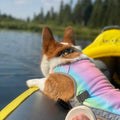 GMTPET China Pet Apparel Supplier Wholesale OEM Luxury Print Summer Dog Cooling Multicolor Eco-Friendly Heatstroke Prevention