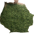 Natural Organic Dried Dill Leaves Dill Leaf Anethum Graveolens Leaves for Spice