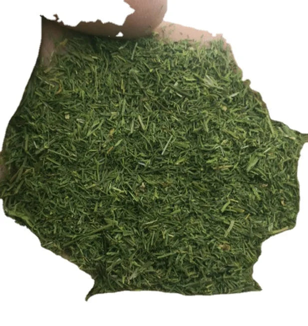 Natural Organic Dried Dill Leaves Dill Leaf Anethum Graveolens Leaves for Spice