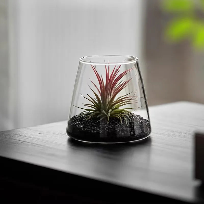 Factory Direct Vase Micro Landscape Glass Vase Pot Terrarium Glass Vases for Home Decor