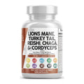 Faitury OEM 500mg 14in1 Mushroom Blend Capsules With Porcini Turkey Tail Reishi Cordyceps Chaga Maitake Shiitake Lion's Mane