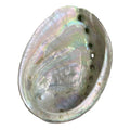 Wholesale Natural Healing Crystal Gemstone Abalone Shells Conch Shells Ornaments for Decoration