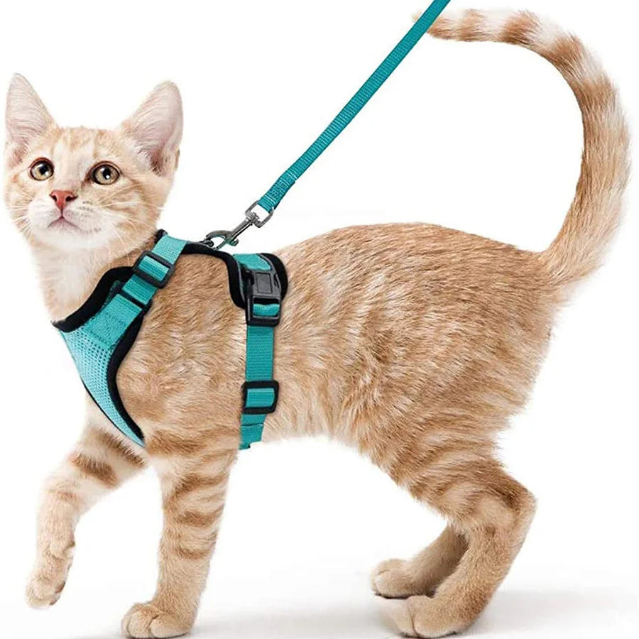 Direct Factory Sale Custom Durable Cat Vest Premium Pet Harness for Cats