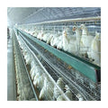 A Type Poultry Laying Hens Chicken Layer Cage Battery Cages for Sale