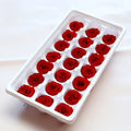 2026 21pcs/Box Handmade Preserved Roses Immortal Rose Valentine's Day & Mother's Day Gift for Girlfriend Eternal Life Bulk