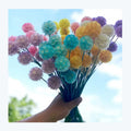 Valentines Day Gift 2023 Colorful Dried Flowers and Plants Flower Bouquet Windmill Fruit Preserved Scabiosa for Home Decor