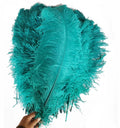 Mint Natural Plume Ostrich Feathers Dyed Patterned for Party Carnival Home Wedding Christmas Vase Holiday Decor DIY Craft Floral