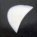 Needle-cotton Shoulder Pads for Coat White Anti-Slip & Eco-Friendly Unisex-XT-82483 Size 24*13.5*0.8CM