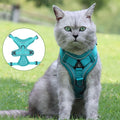 New Product Ideas Reflective Vest Style Pet  Harness Breathable Anti Slip Small Dog Walking Cat Leash Pet Harness