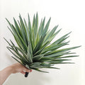 Wholesale Lifelike Faux Real Touch Bonsai Sisal Plants Artificial Bonsai Plant Outdoor Indoor Decor