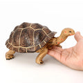 Wholesale Solid PVC Simulation Statue Galapagos Giant Tortoise Model Animal Figurines Toys
