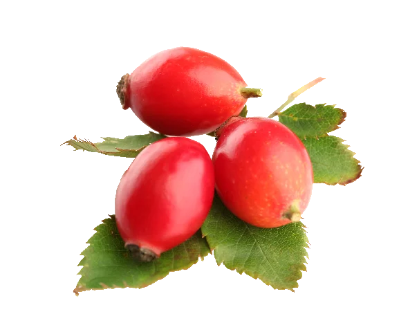 Red Rosehip Oil for Skin Hair Face | Rose Hip Seed Oil - 100% Pure Natural Cold Pressed Carrier Oil Unrefined | Bulk Price 1kg
