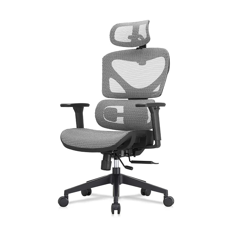Home Office Ergonomic Chair with Lumbar Support Executive Rolling Swivel Adjustable High Back Task Chair for Adults