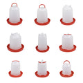 Automatic 8L Chicken Drinkers and Feeders New Portable Plastic PP Design for Chickens in South Africa