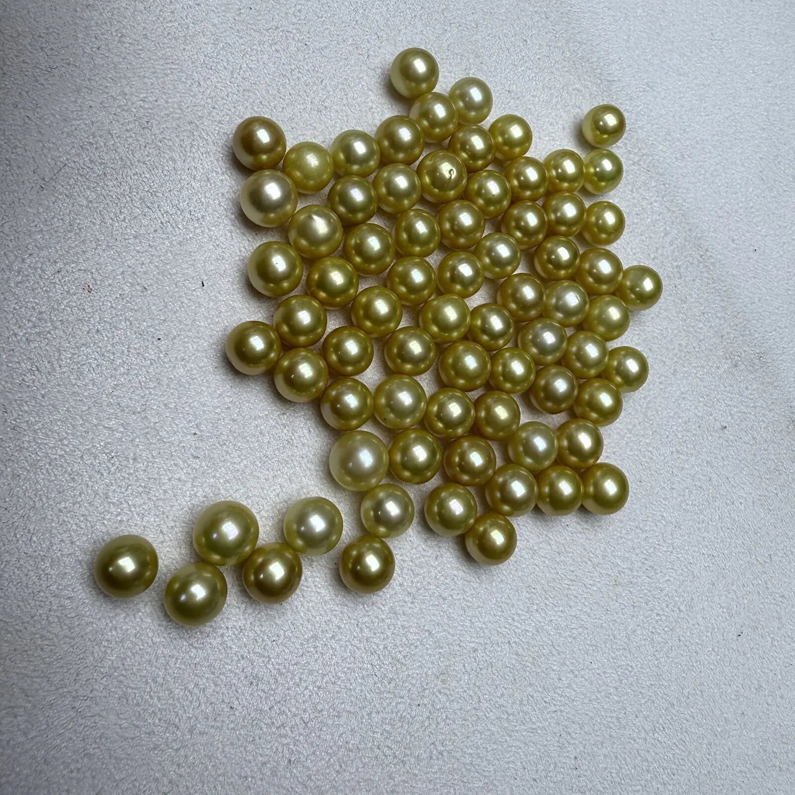 Wholesales Price 7.5-8 mm Good Quality AA+ Perfect Round Gold Pearl loose Freshwater Pearl Dying Gold  Half or No Hole  Drilled